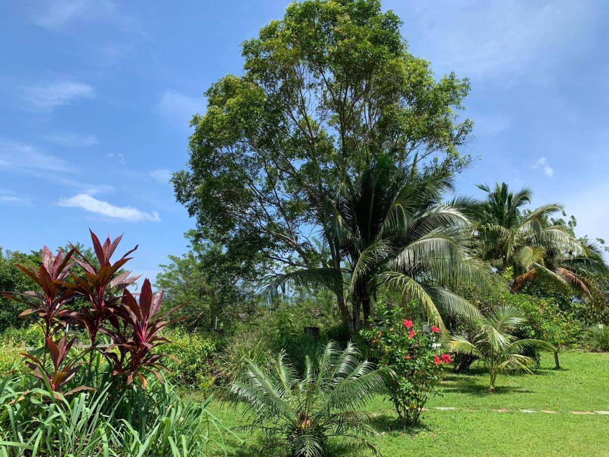 Lovely Garden Villas Pantai Cenang  Exterior foto