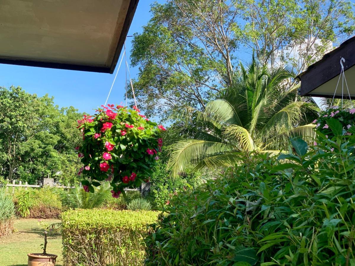 Lovely Garden Villas Pantai Cenang  Exterior foto